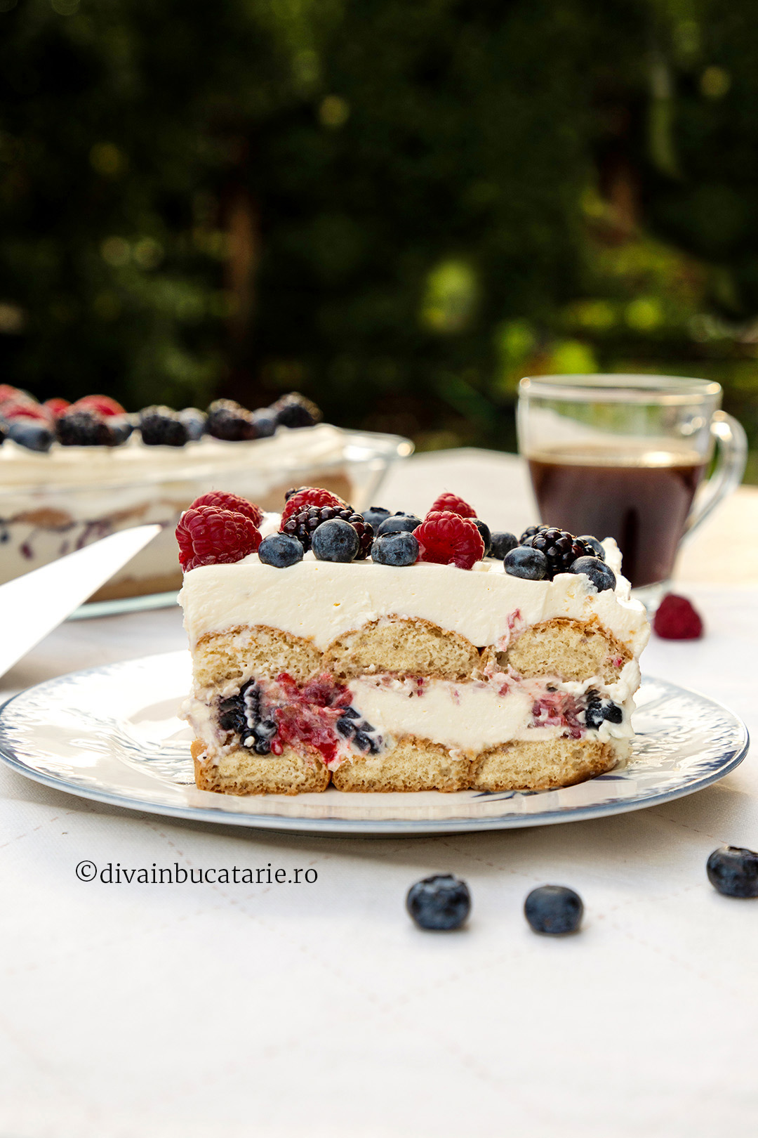 tiramisu cu fructe de padure A