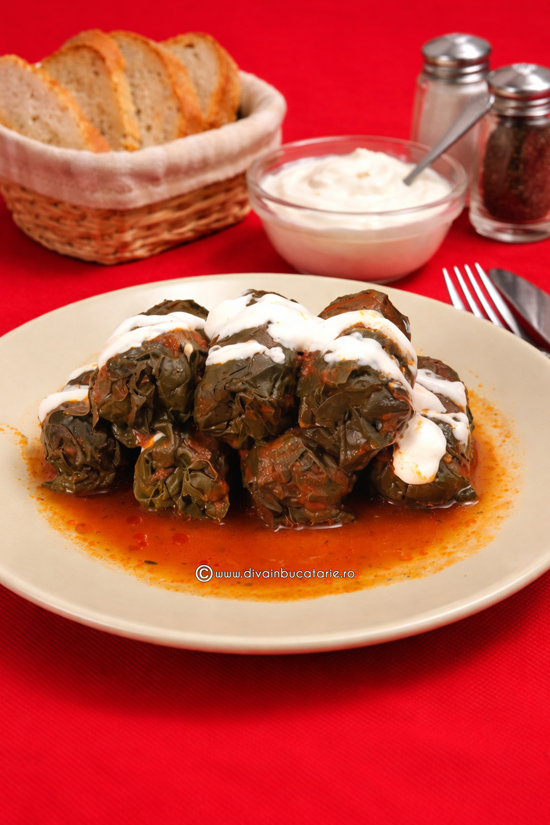 sarmalute in frunze de stevie A