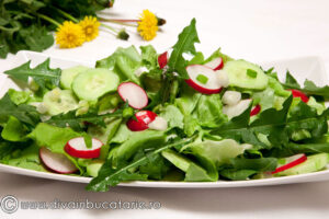 salata cu frunze de papadie