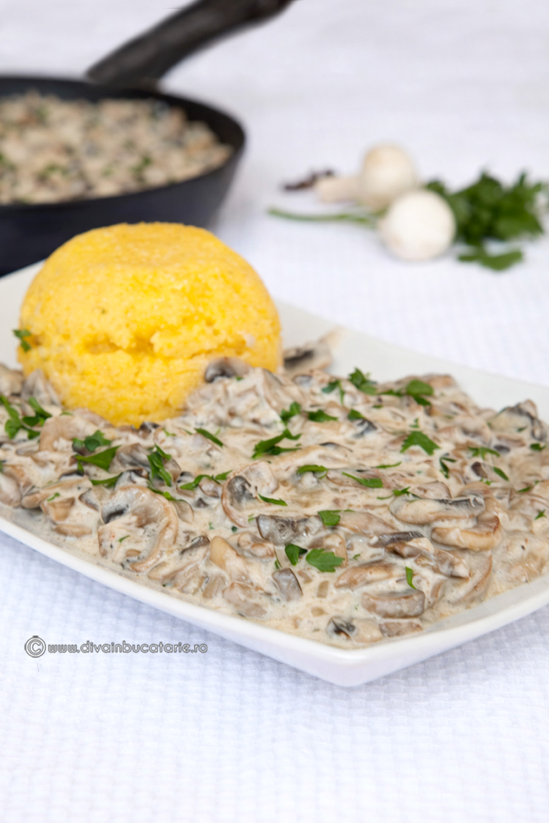 tocanita de ciuperci cu smanatana A